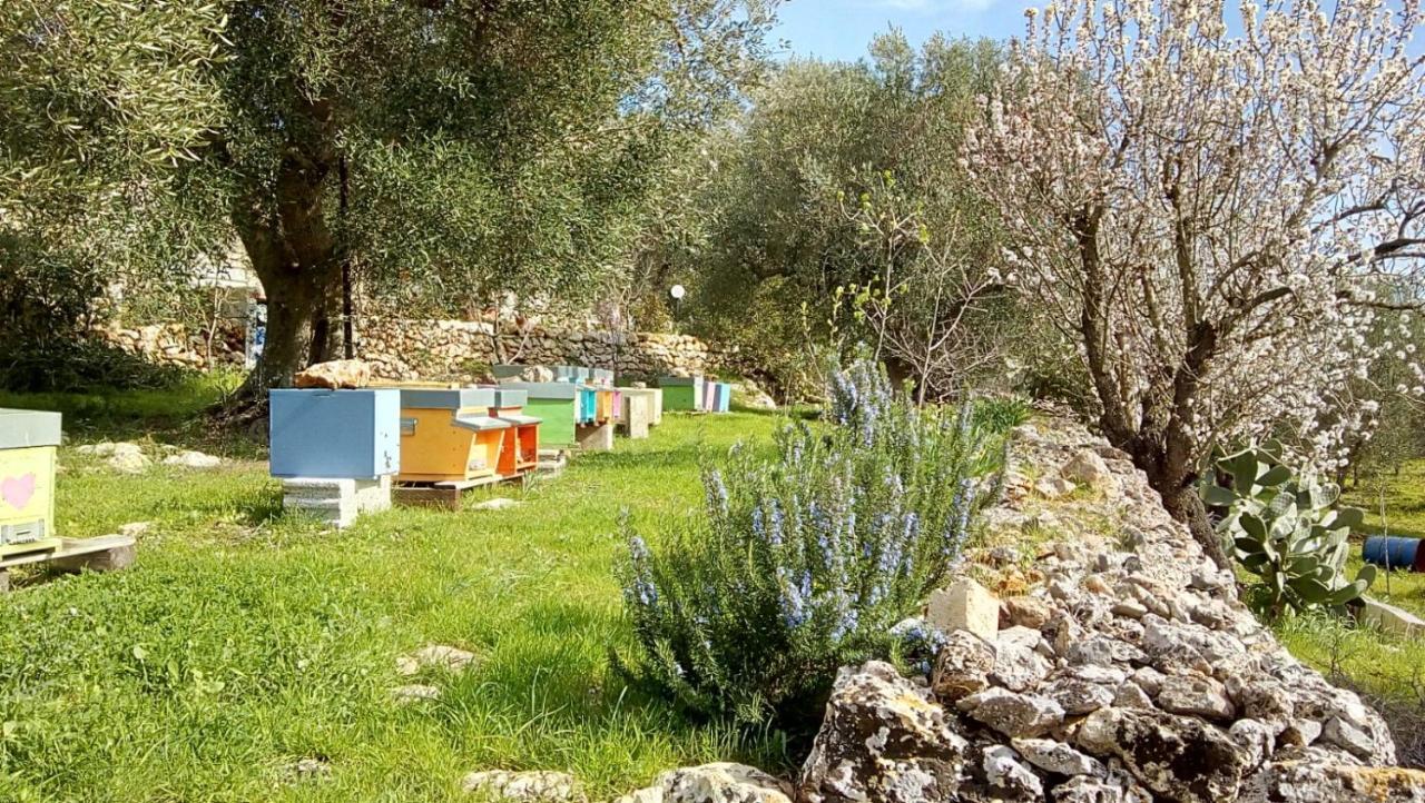 Vivere Ostuni Zewnętrze zdjęcie
