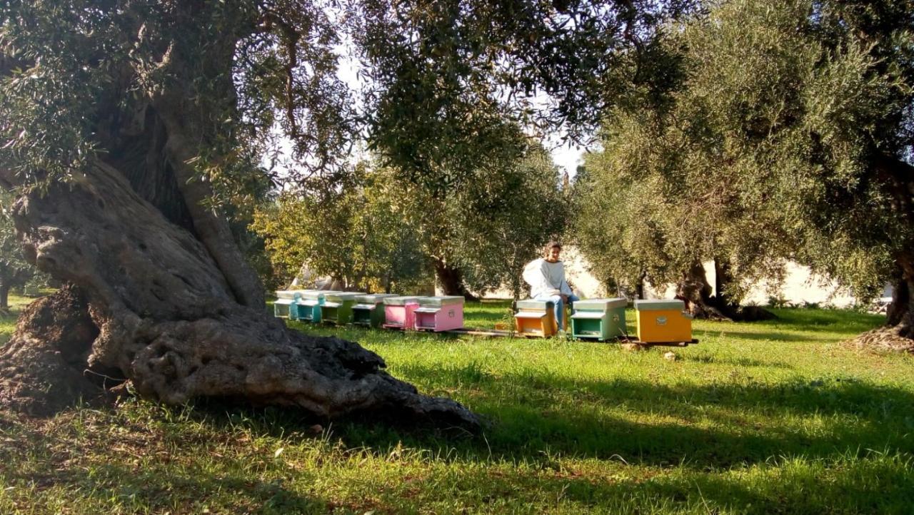 Vivere Ostuni Zewnętrze zdjęcie